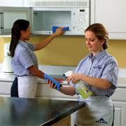 Our professional staff pay attention to the detail