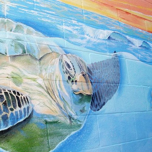 Part of a 32 foot exterior underwater themed mural