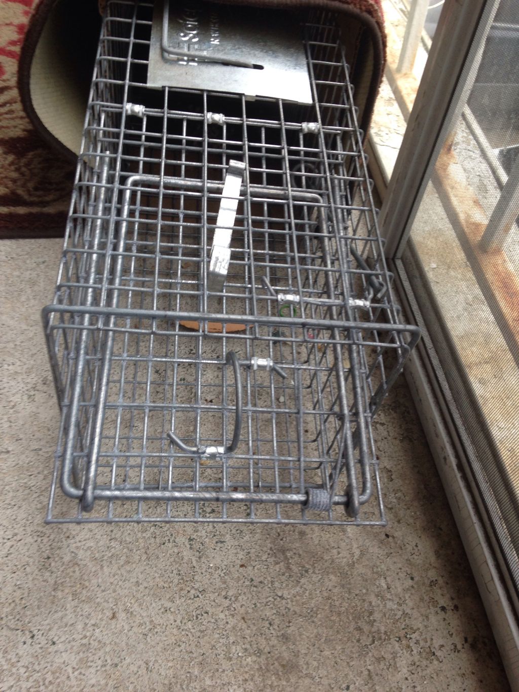 Dynamite Exterminating, Inc.