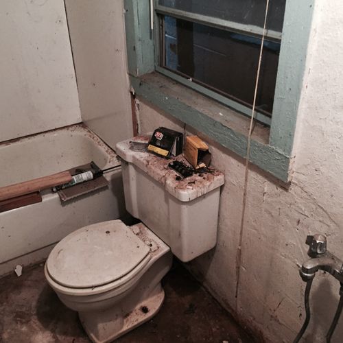 Before photo of Bathroom destroyed by Nature