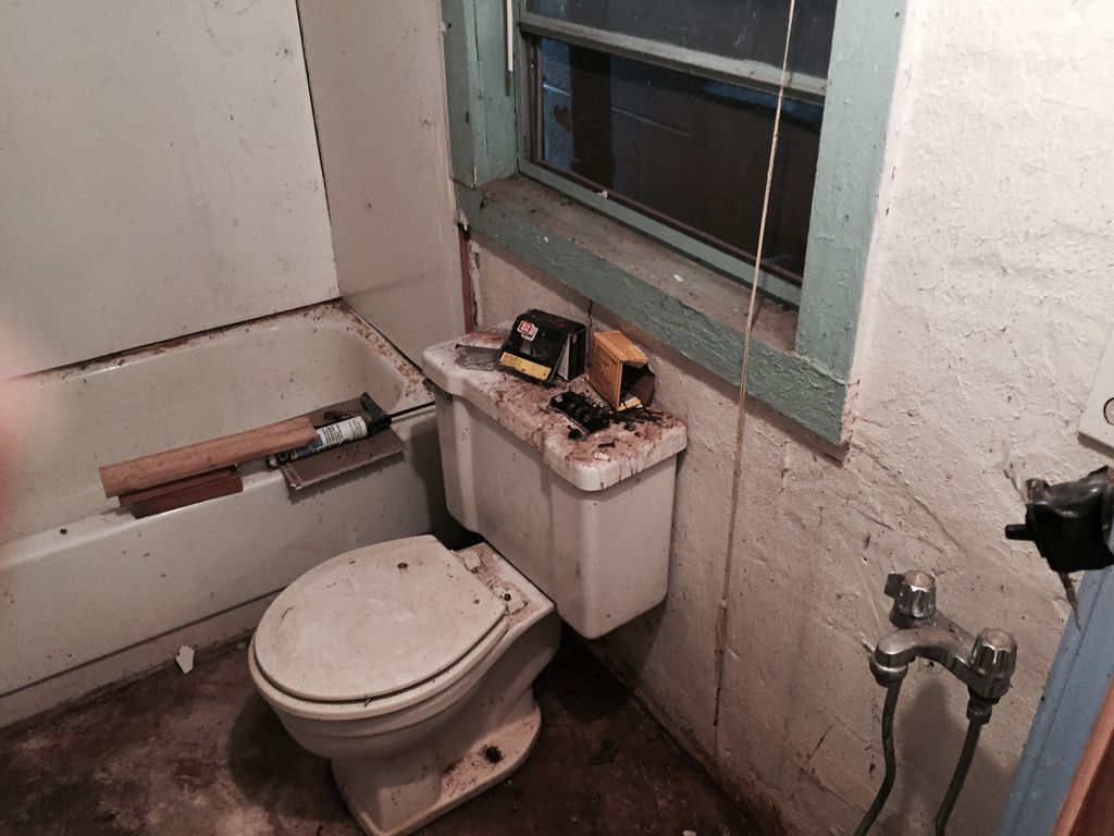 Before photo of Bathroom destroyed by Nature