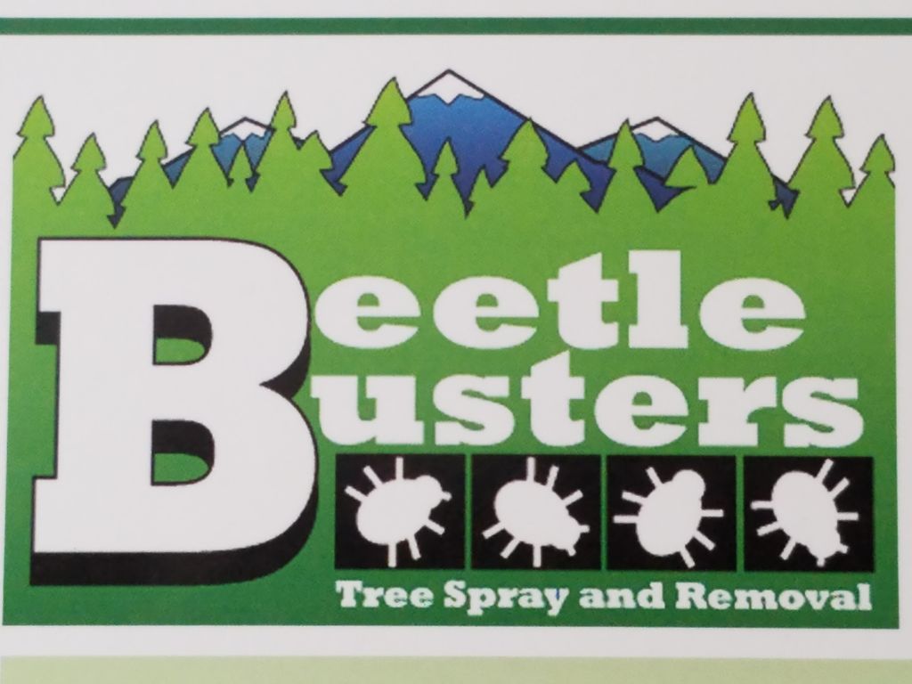 BeetleBusters llc