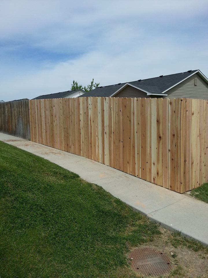 Cedar Fencing