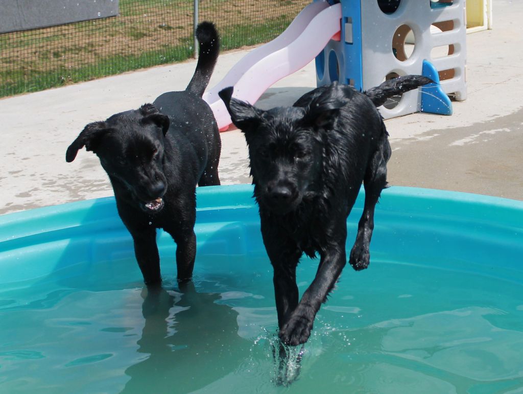 Summer time swimming!