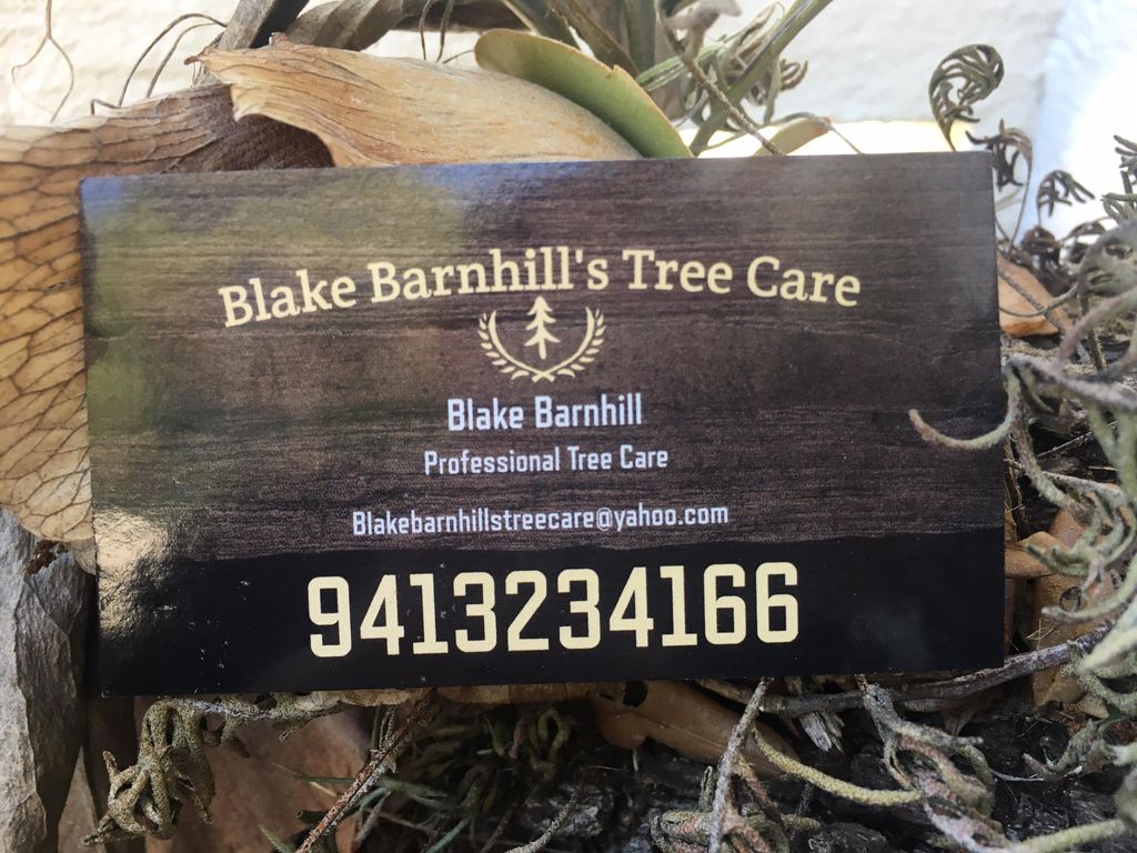 Blake Barnhill's tree care