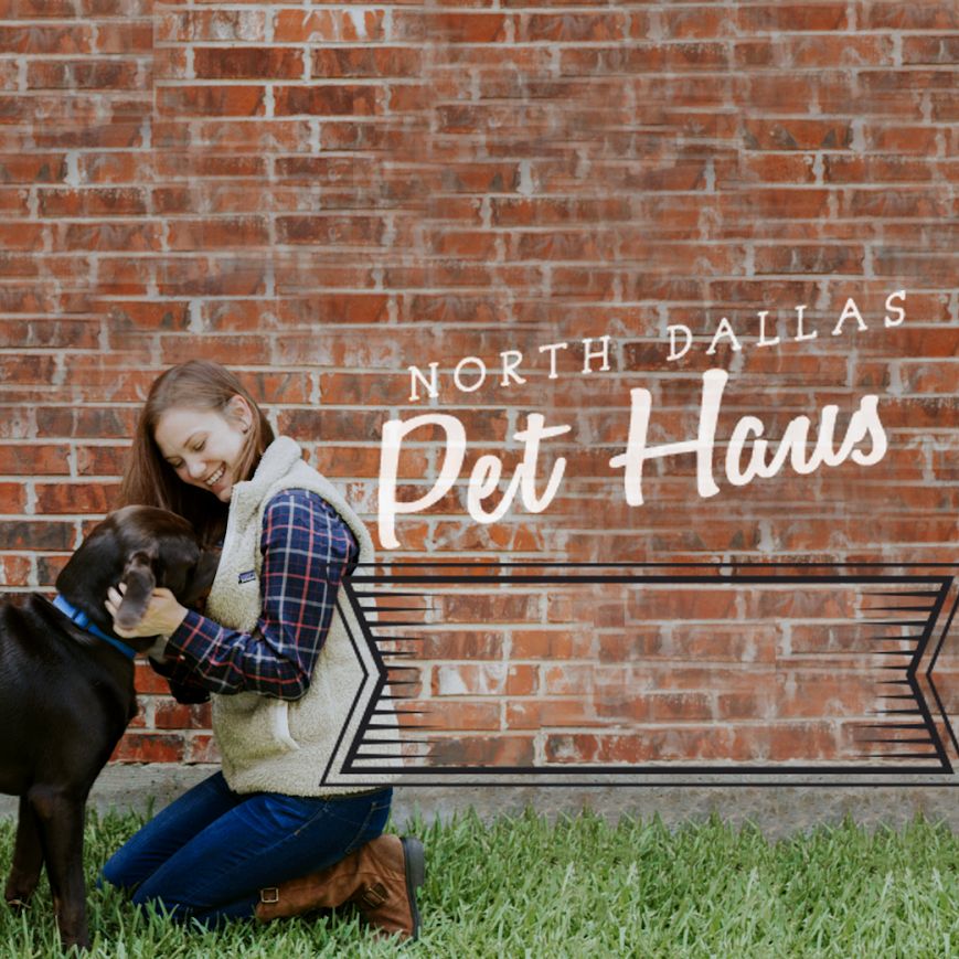 North Dallas Pet Haus
