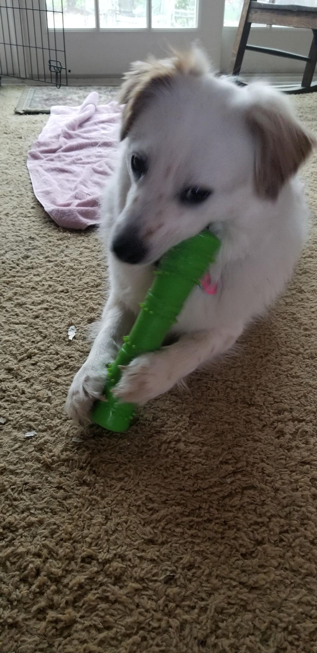 I love my new toy!! Thank you Cindy!!!