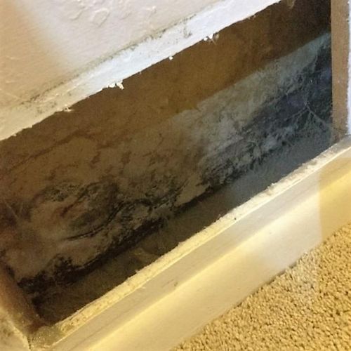 Mold inside the wall
