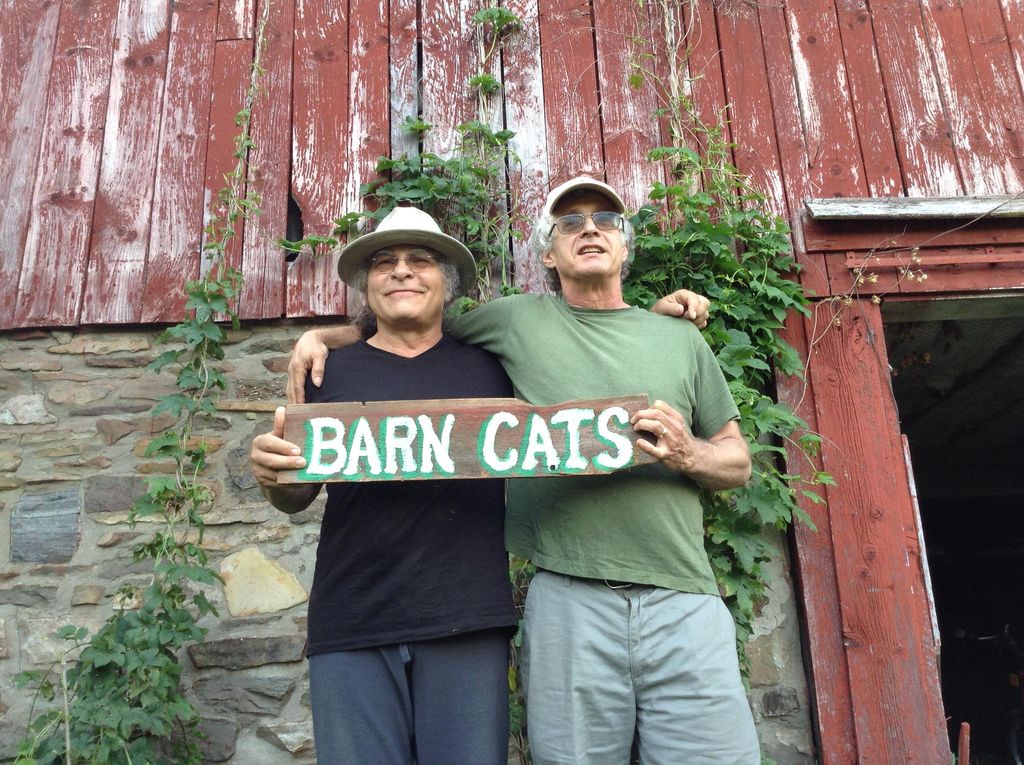 The Barn Cats