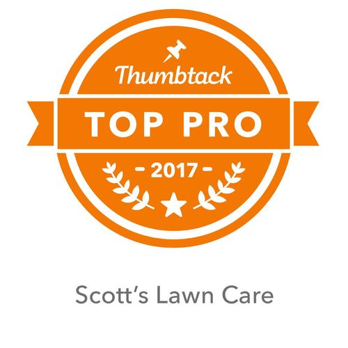 Top pro award for 2017. This is a great honor > Le