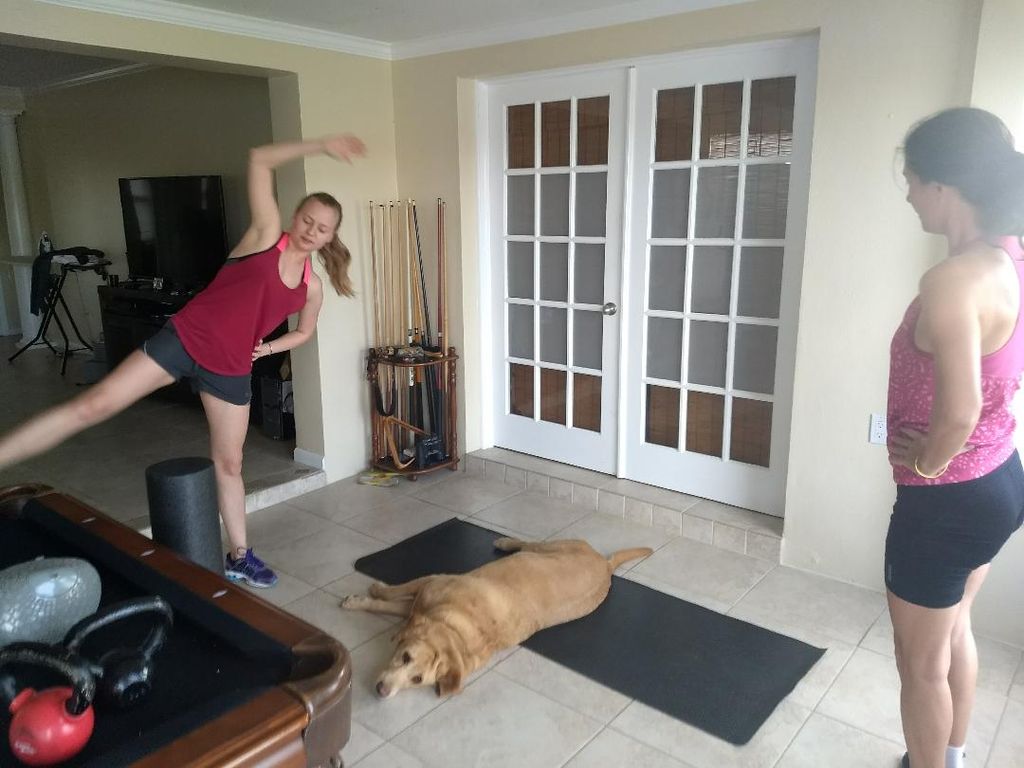 Canine companion workout