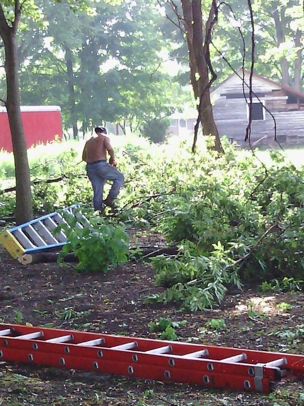 worker removing debris to be placed in a chipper