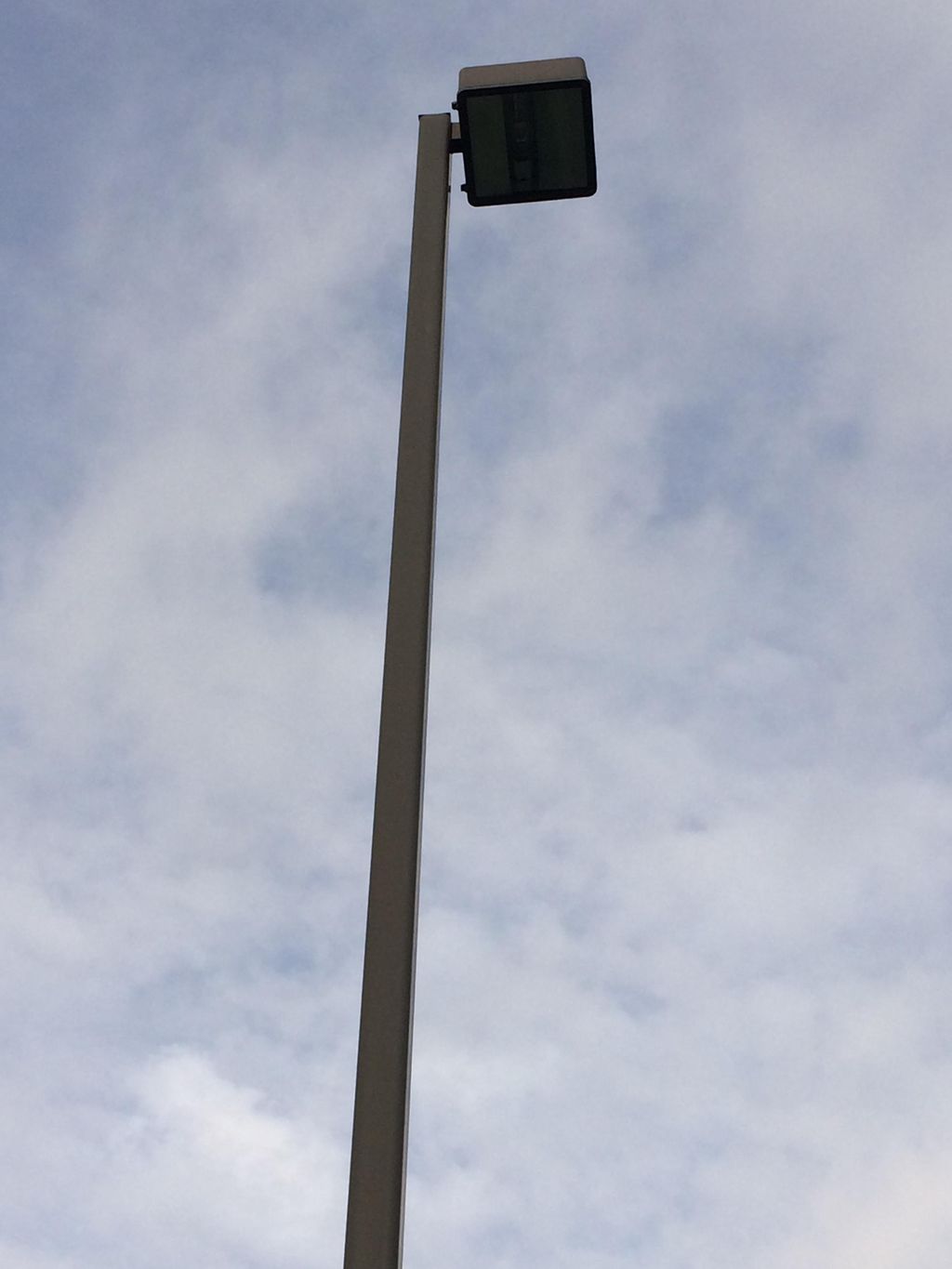 LED pole Light 30'