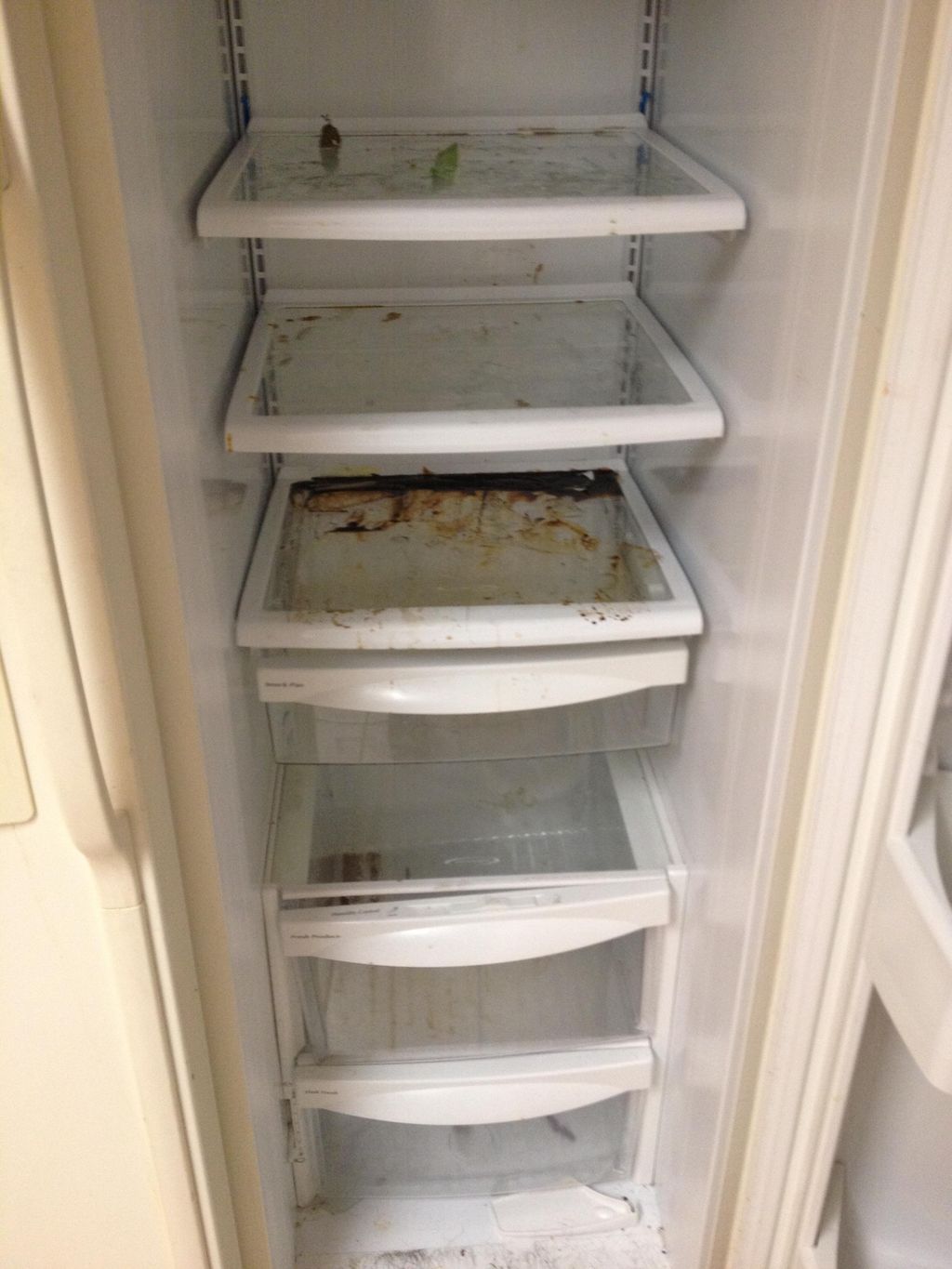 Nothing like having the kids spill something and n