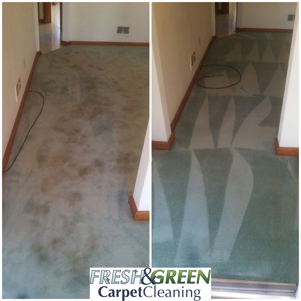 Pet Stain Removal Experts!