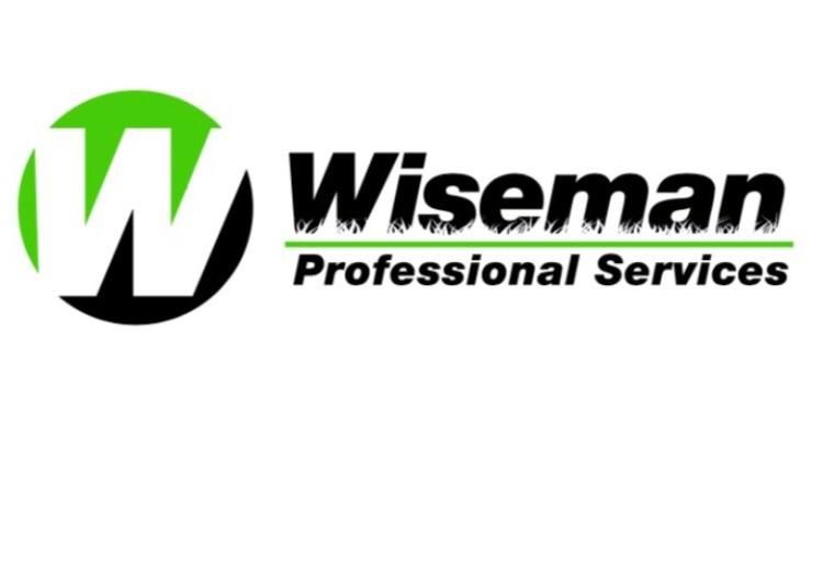 Wiseman Professional Services