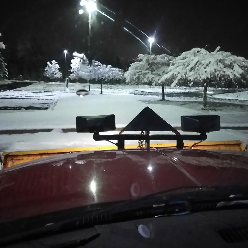 Ali tree service and snow removal