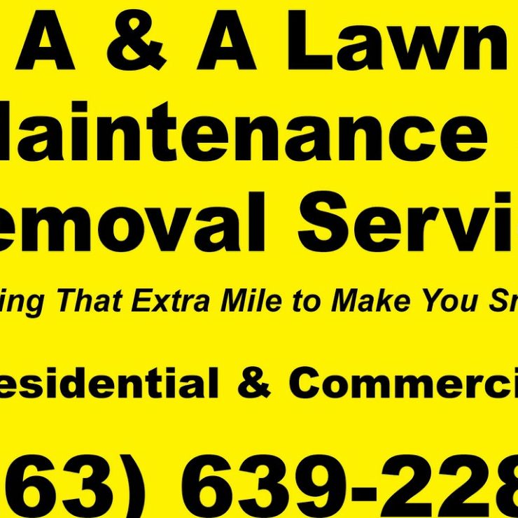 A&A Lawn Maintenance & Removal Service