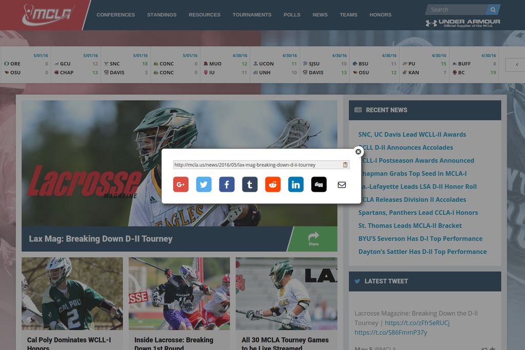 Custom, comprehensive, JavaScript social media sha