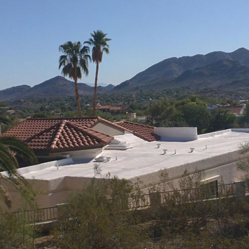 Foam Roof - Remove and Replace