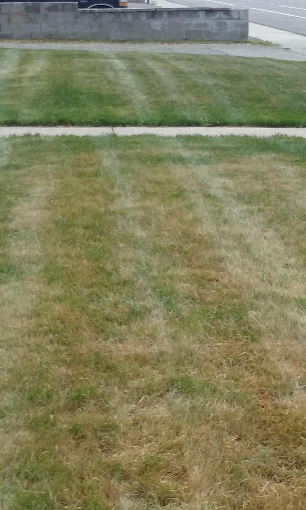 Customers yard is a little dry but here's the mow.