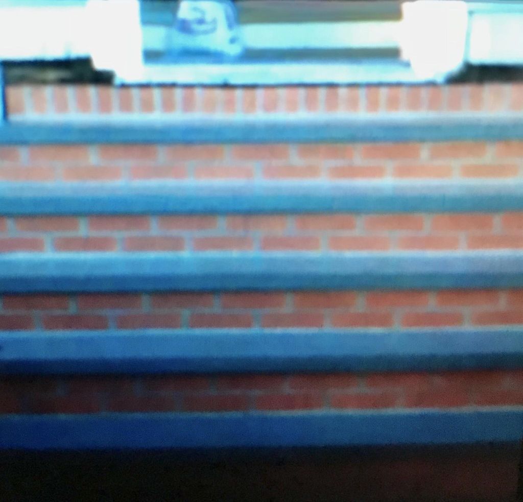 Basic brick step with bluestone treads