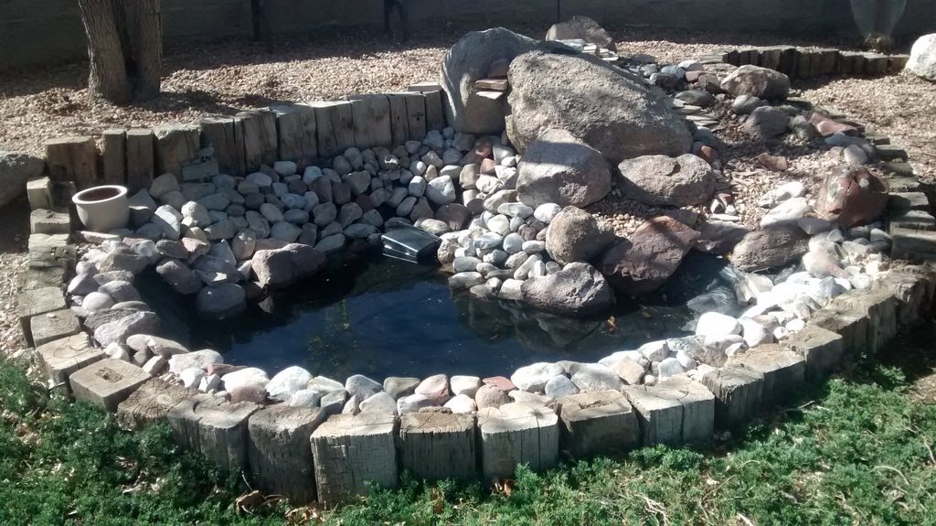 waterfall pond