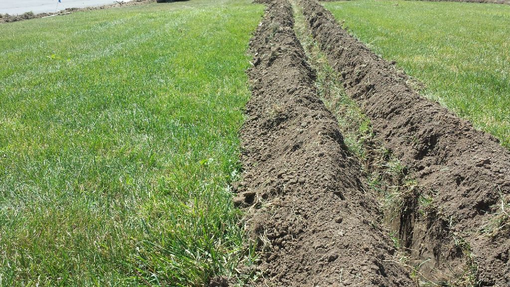 Irrigation Trench