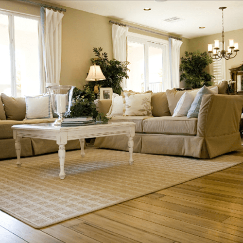 Living Room
Dusting and polishing of all furniture