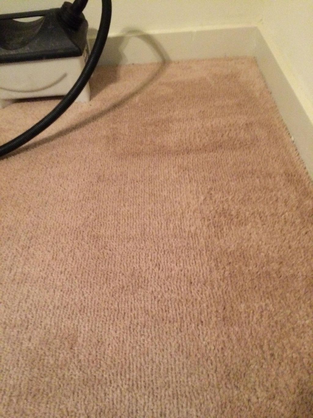 Candle wax removed with steam and hot water extrac