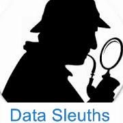 Data Sleuths
