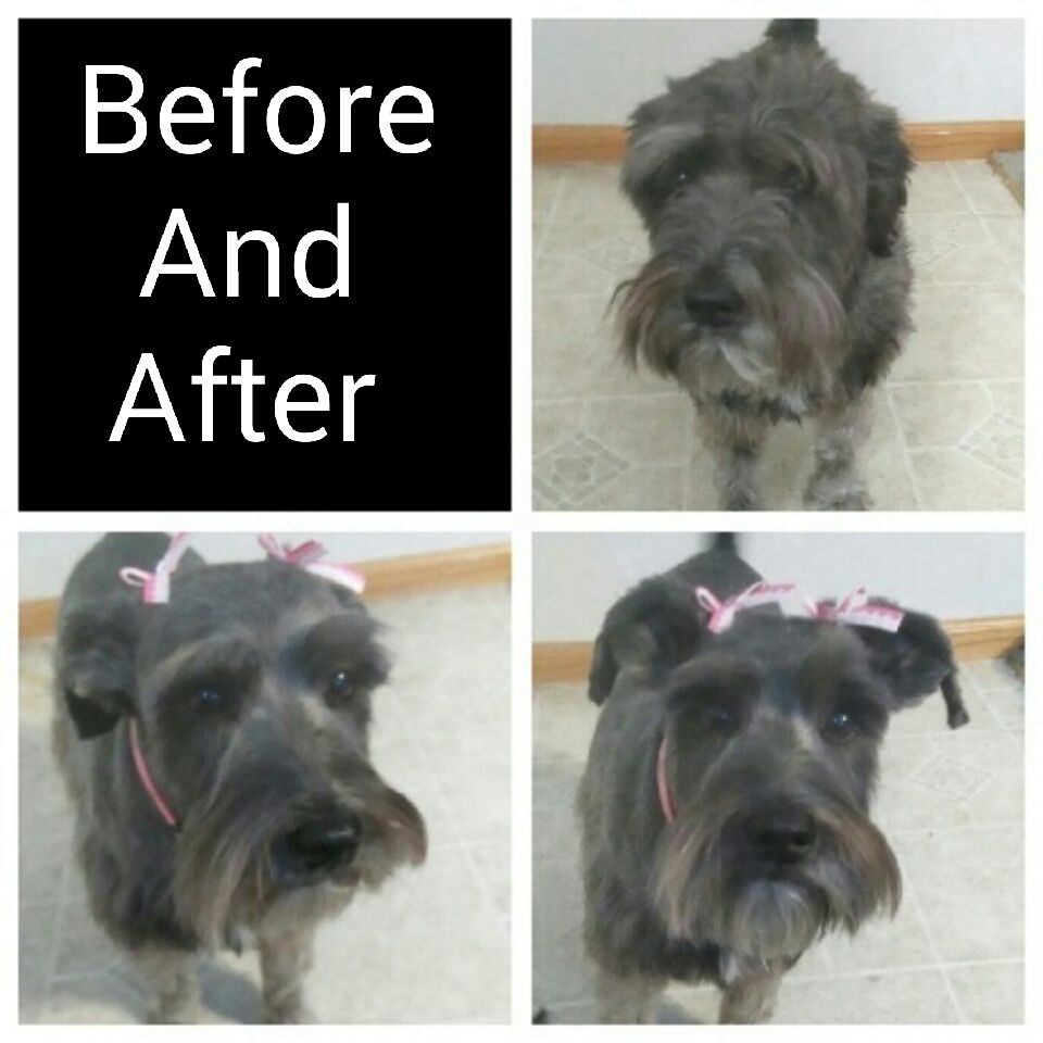 before and after