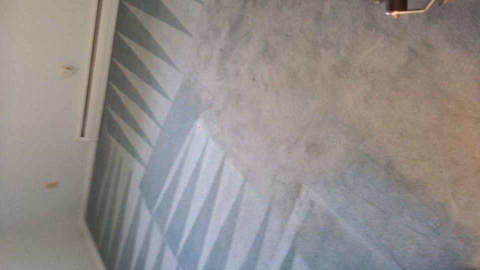 this carpet had not been cleaned in over 10 years.