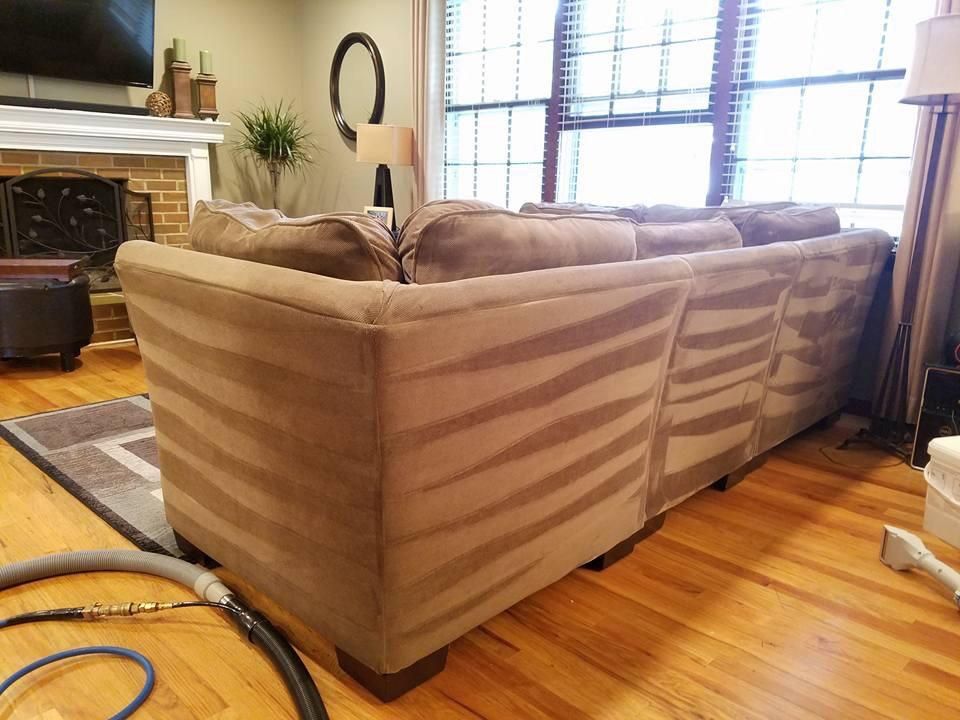 Freshly cleaned Upholstery !