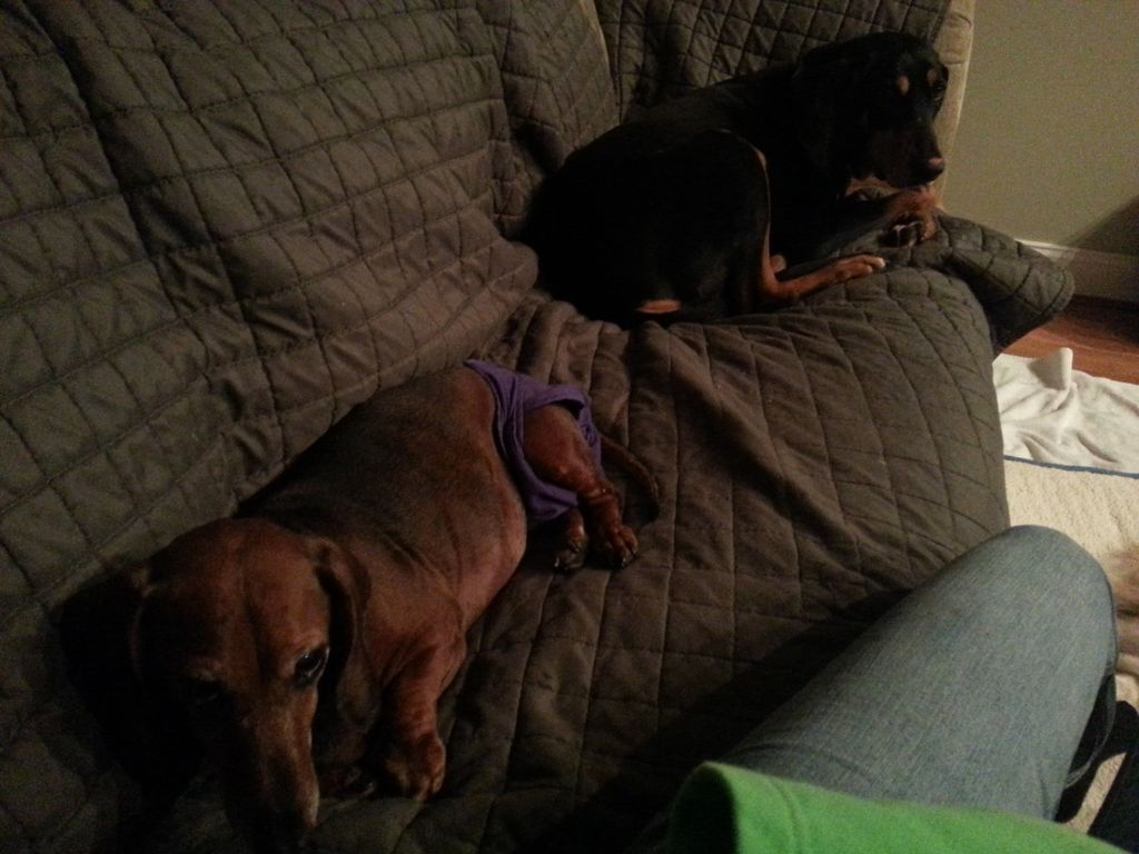 The precious babies belong to my brother and siste