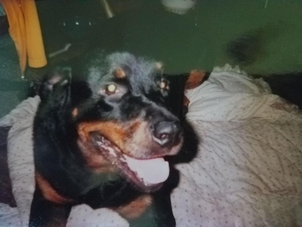 Chief smiling for the camera.