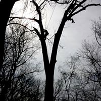 Rusty Roots Tree Care
