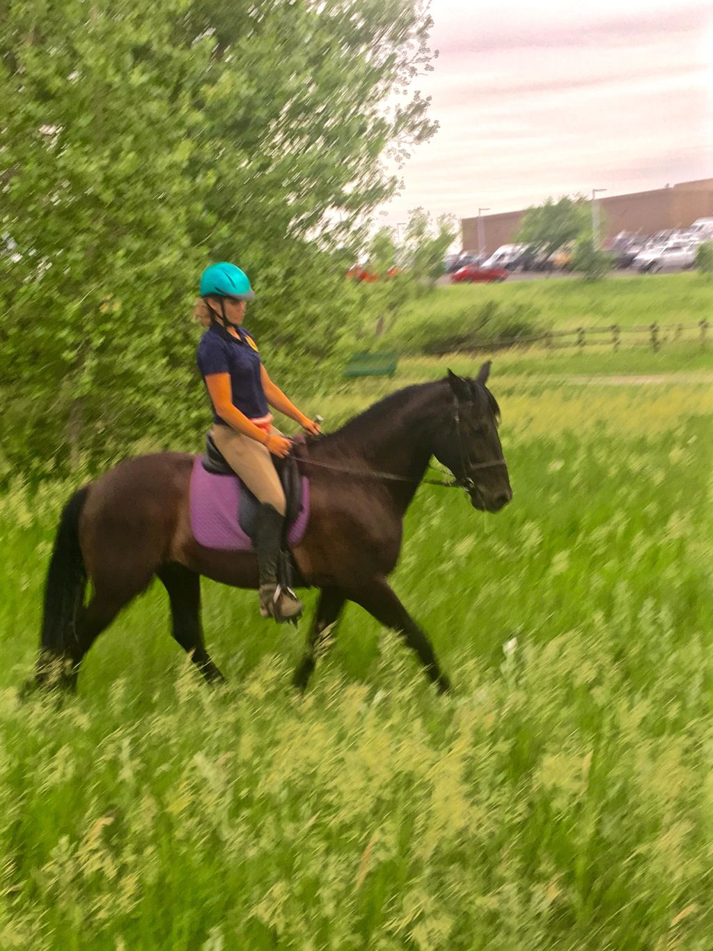 Me on my Andalusian gelding, Nacho