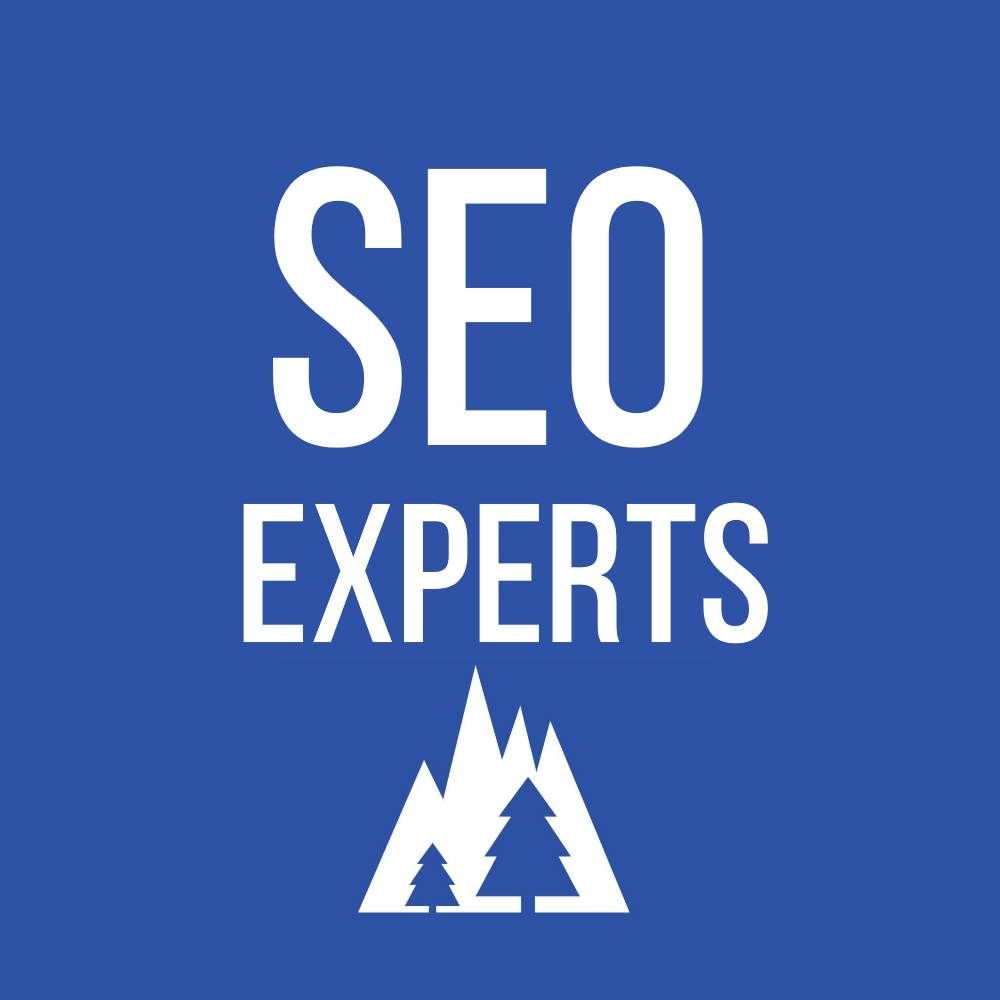 SEO experts