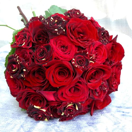 Stunning Red bouquet