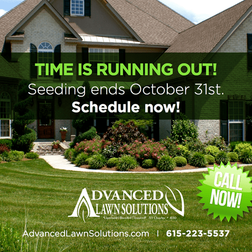 Advanced Lawn Solutions, Smyrna, TN
Ongoing Reside
