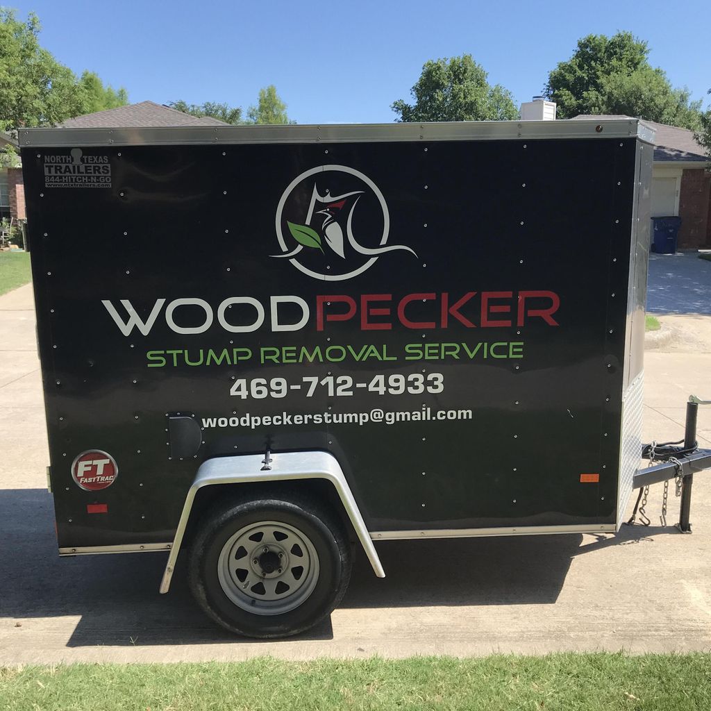 Woodpecker Stump Removal Services