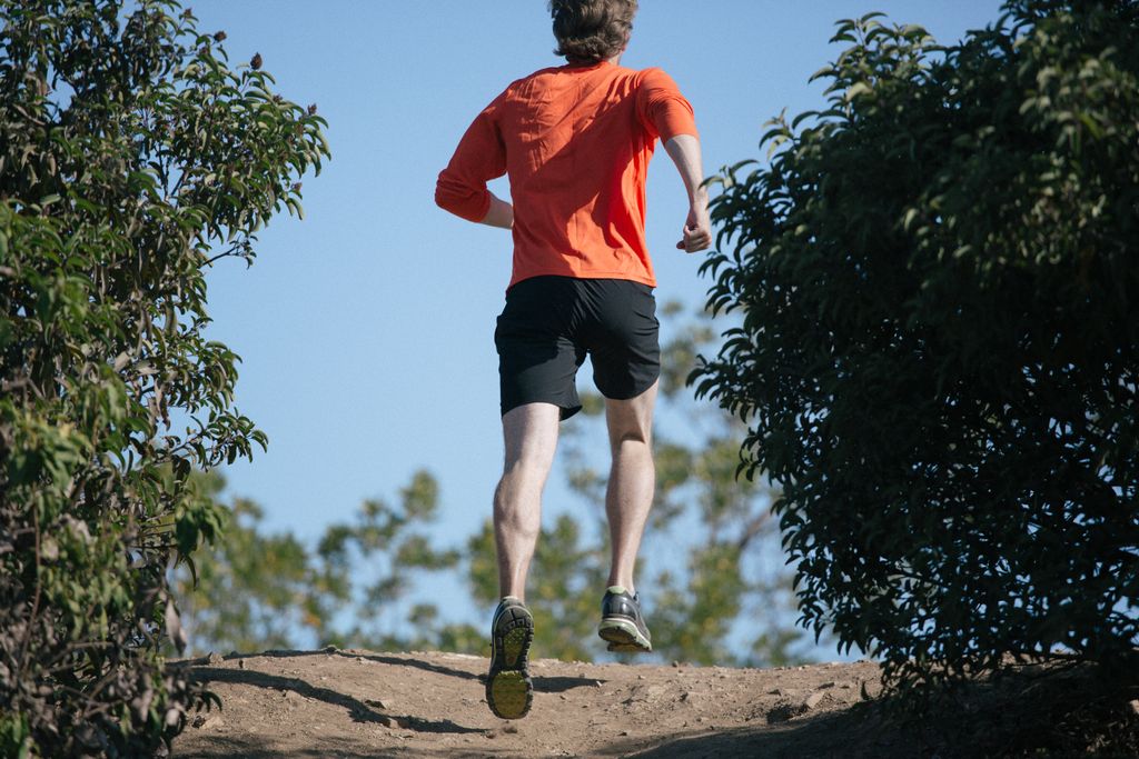 Trailblazing