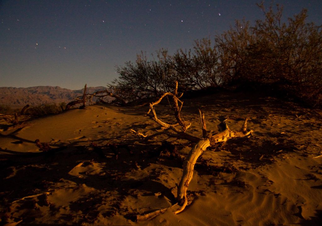 Death Valley Dunes - Lit by Moon
