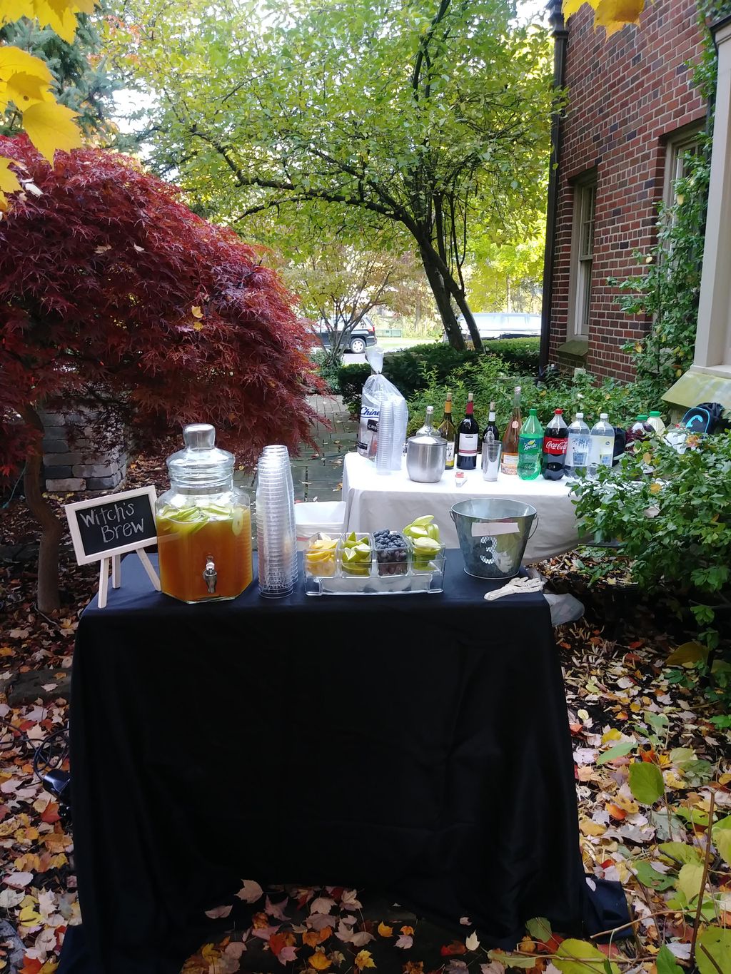 Outdoor Bar Setup for Halloween party 2018