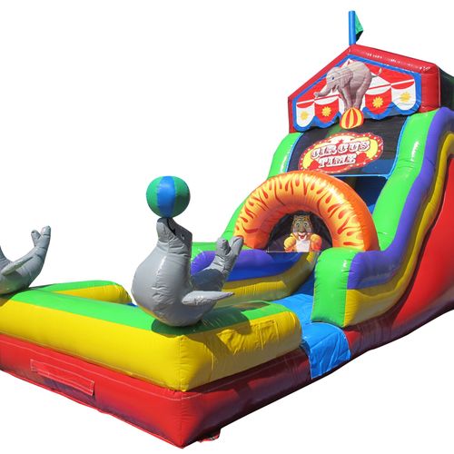 18' circus slide- ONLY $229 dry or $259 wet