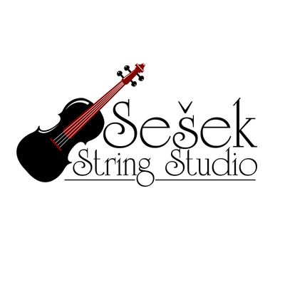 Avatar for Sešek String Studio