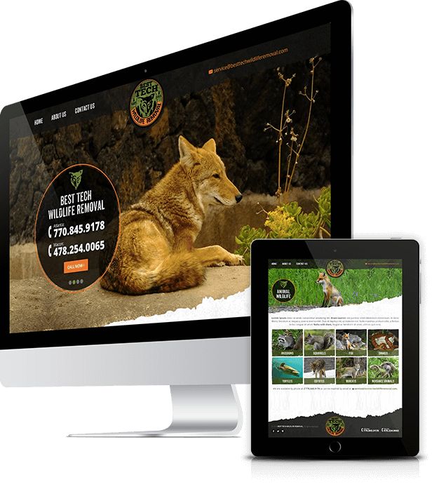 Best Tech Wildlife Removal