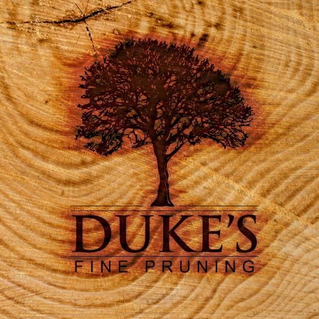 Dukes Fine Pruning