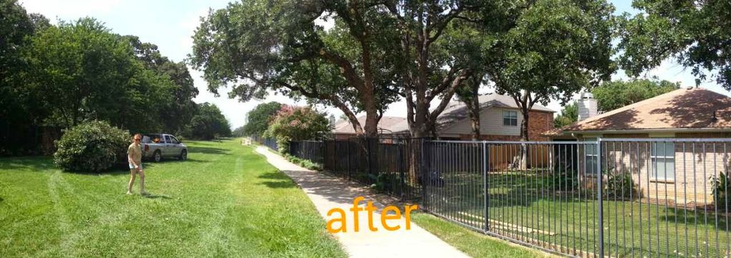 after elevating the crowns